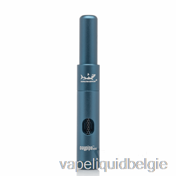 Vape Smaken Hamilton Devices Daypipe Mini Blauw